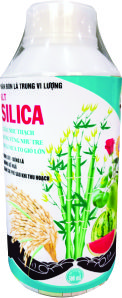 SILICA
