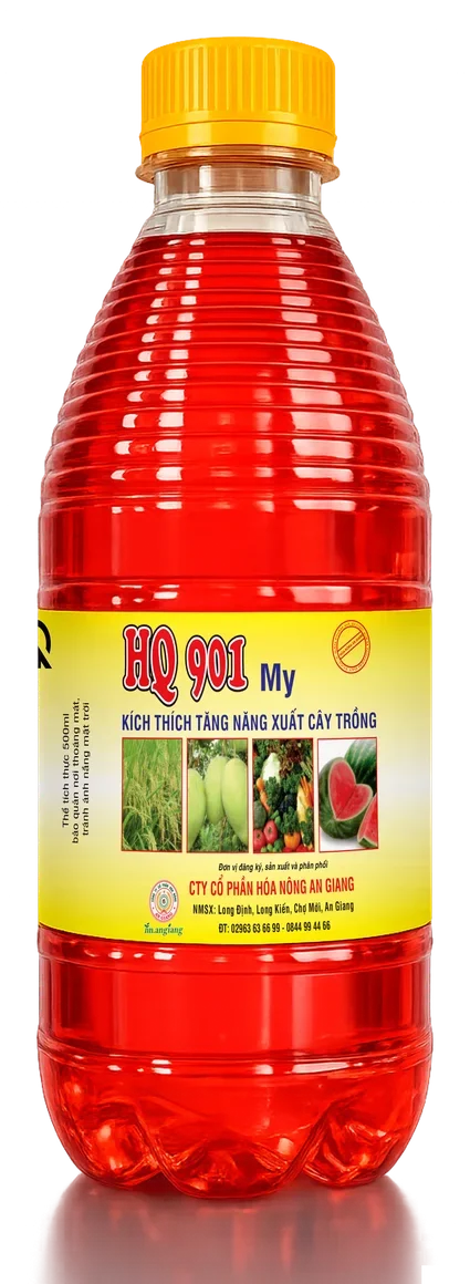 HQ 901