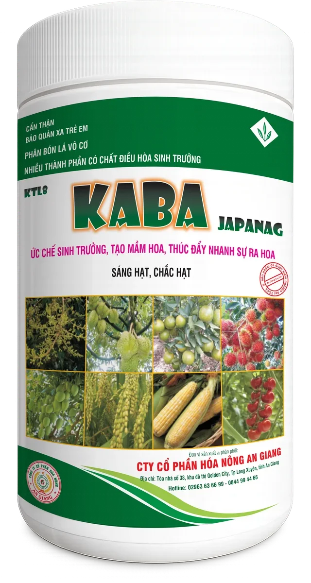 KTL8 Kaba Japanag (dạng bột)